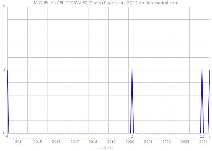 MIGUEL ANGEL GONZALEZ (Spain) Page visits 2024 