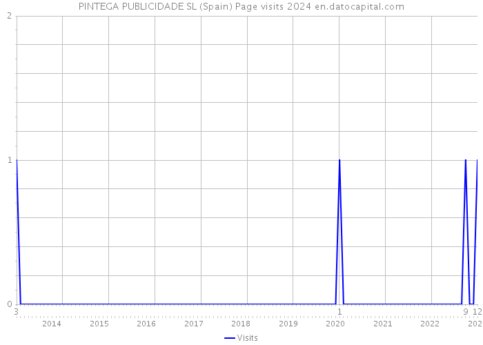 PINTEGA PUBLICIDADE SL (Spain) Page visits 2024 