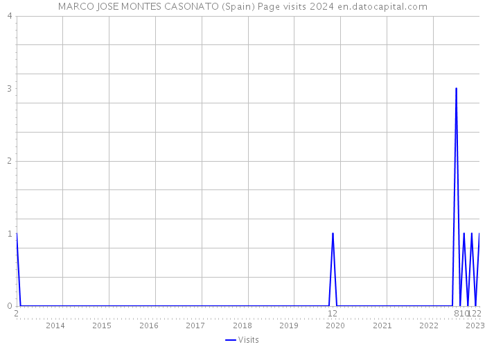 MARCO JOSE MONTES CASONATO (Spain) Page visits 2024 