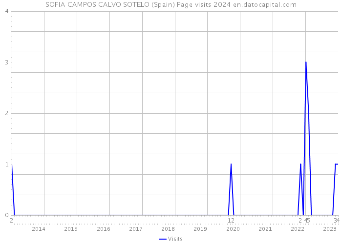 SOFIA CAMPOS CALVO SOTELO (Spain) Page visits 2024 