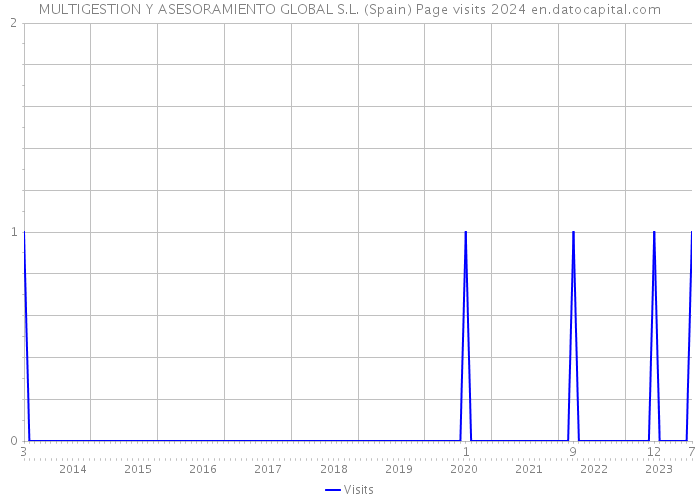 MULTIGESTION Y ASESORAMIENTO GLOBAL S.L. (Spain) Page visits 2024 