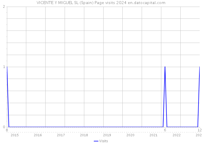 VICENTE Y MIGUEL SL (Spain) Page visits 2024 