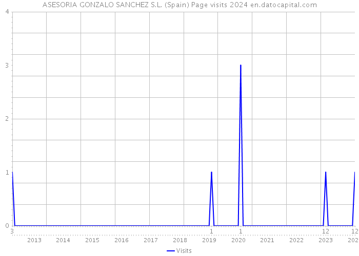 ASESORIA GONZALO SANCHEZ S.L. (Spain) Page visits 2024 