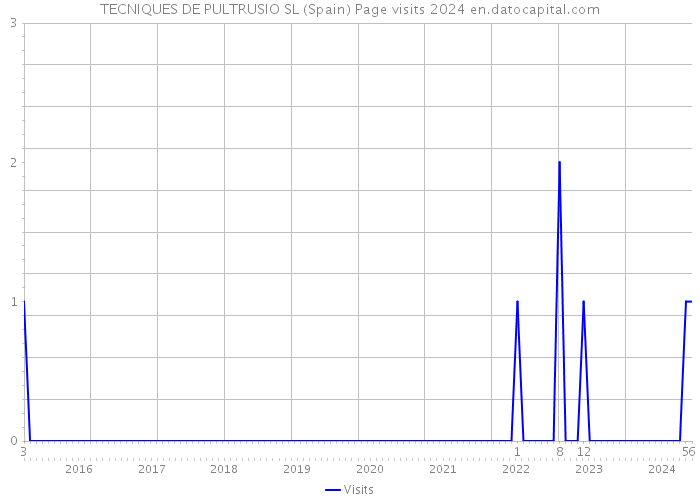TECNIQUES DE PULTRUSIO SL (Spain) Page visits 2024 