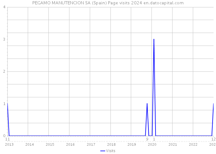 PEGAMO MANUTENCION SA (Spain) Page visits 2024 