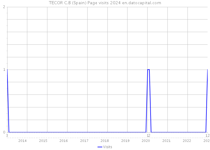 TECOR C.B (Spain) Page visits 2024 