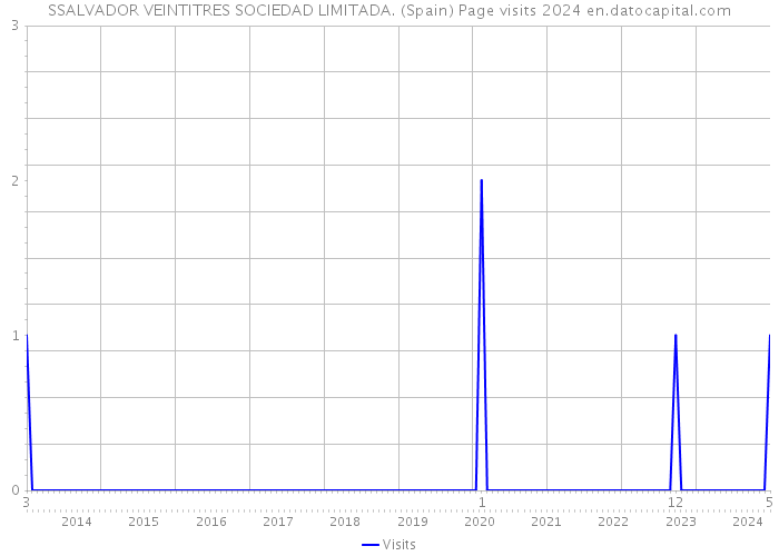 SSALVADOR VEINTITRES SOCIEDAD LIMITADA. (Spain) Page visits 2024 