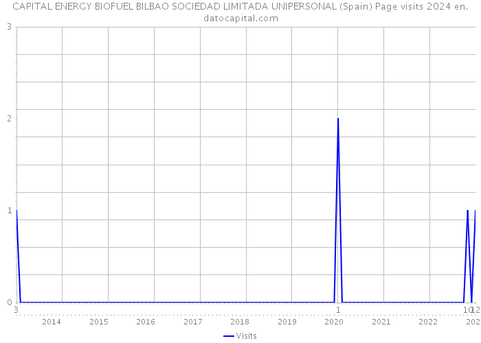 CAPITAL ENERGY BIOFUEL BILBAO SOCIEDAD LIMITADA UNIPERSONAL (Spain) Page visits 2024 