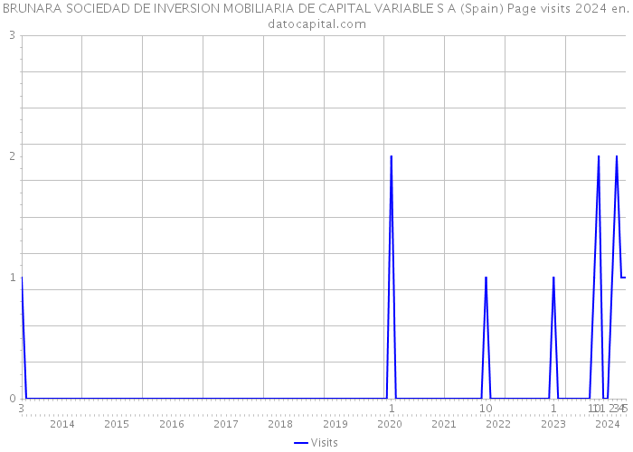 BRUNARA SOCIEDAD DE INVERSION MOBILIARIA DE CAPITAL VARIABLE S A (Spain) Page visits 2024 