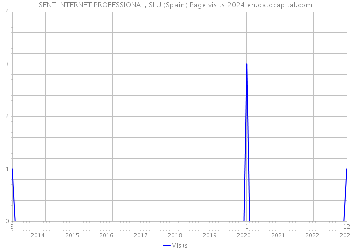 SENT INTERNET PROFESSIONAL, SLU (Spain) Page visits 2024 