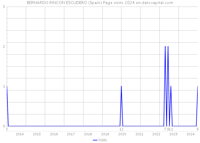 BERNARDO RINCON ESCUDERO (Spain) Page visits 2024 