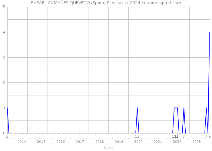 RAFAEL CAMAÑEZ QUEVEDO (Spain) Page visits 2024 