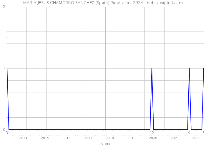 MARIA JESUS CHAMORRO SANCHEZ (Spain) Page visits 2024 