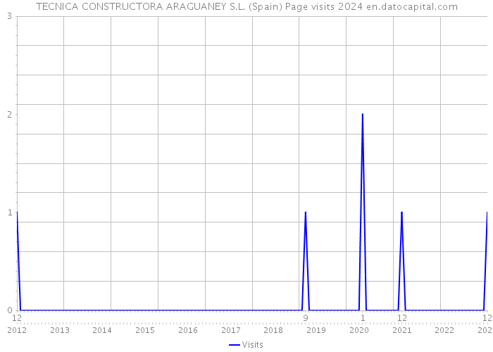 TECNICA CONSTRUCTORA ARAGUANEY S.L. (Spain) Page visits 2024 