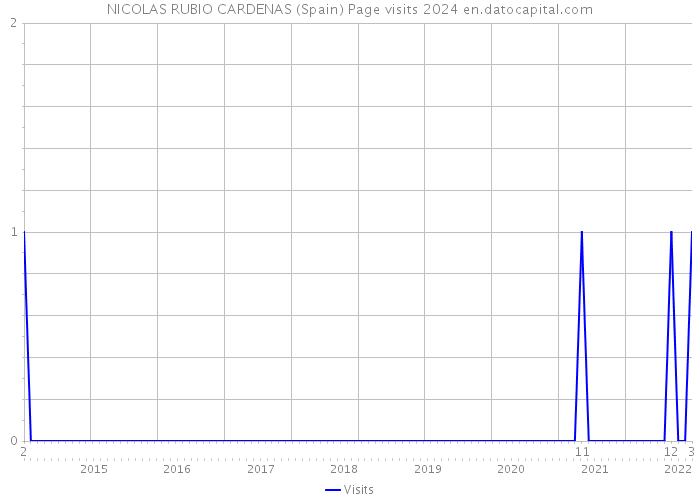 NICOLAS RUBIO CARDENAS (Spain) Page visits 2024 