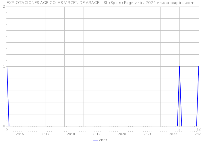 EXPLOTACIONES AGRICOLAS VIRGEN DE ARACELI SL (Spain) Page visits 2024 