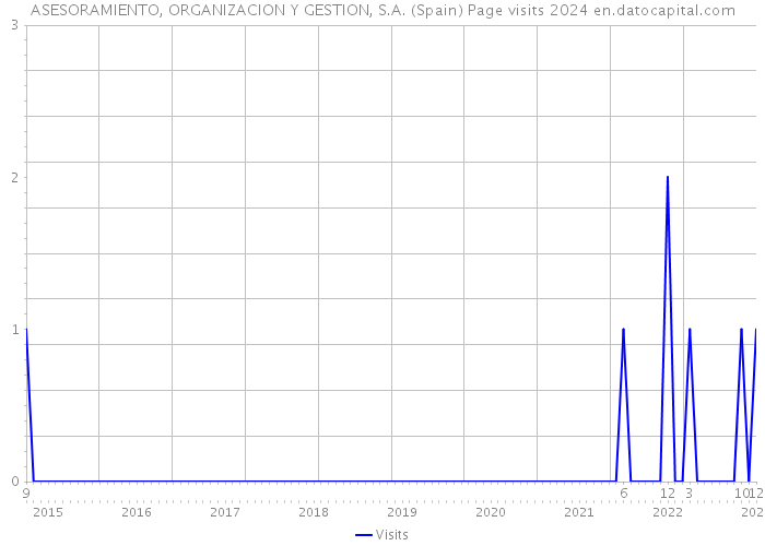 ASESORAMIENTO, ORGANIZACION Y GESTION, S.A. (Spain) Page visits 2024 