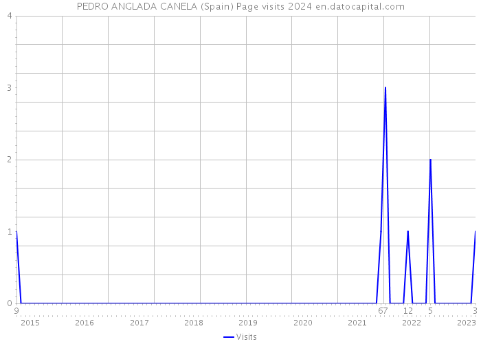 PEDRO ANGLADA CANELA (Spain) Page visits 2024 