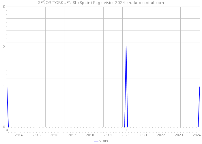 SEÑOR TORKUEN SL (Spain) Page visits 2024 