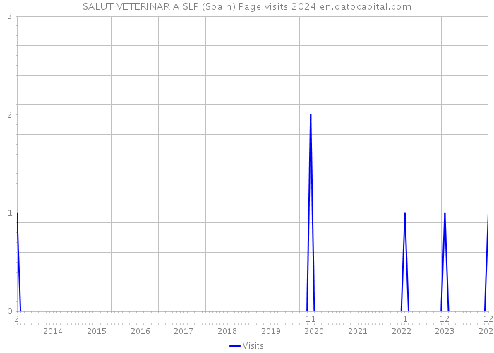 SALUT VETERINARIA SLP (Spain) Page visits 2024 