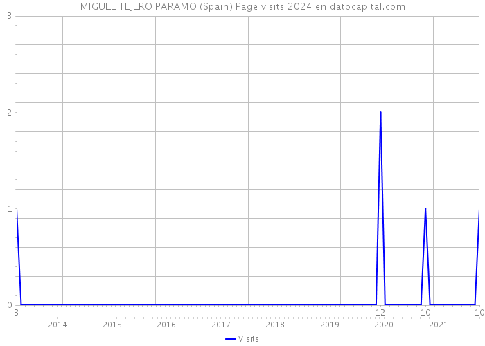 MIGUEL TEJERO PARAMO (Spain) Page visits 2024 