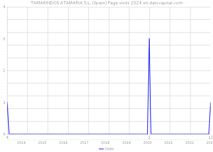 TAMARINDOS ATAMARIA S.L. (Spain) Page visits 2024 