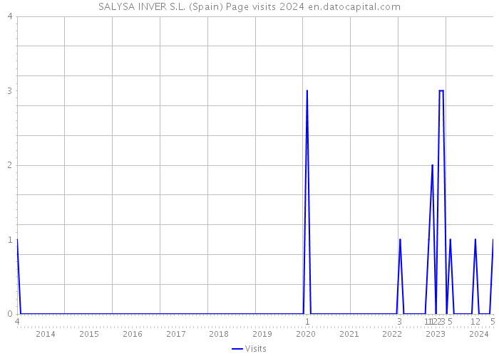 SALYSA INVER S.L. (Spain) Page visits 2024 