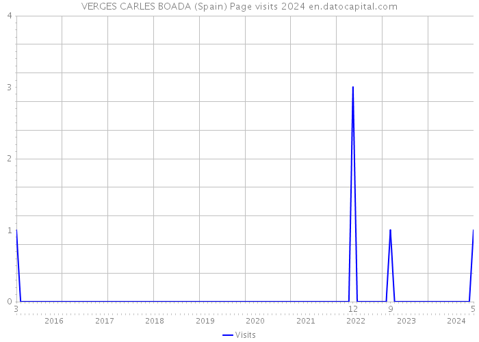 VERGES CARLES BOADA (Spain) Page visits 2024 