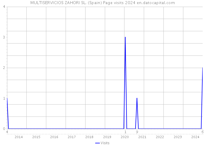 MULTISERVICIOS ZAHORI SL. (Spain) Page visits 2024 