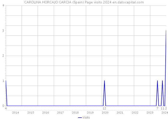 CAROLINA HORCAJO GARCIA (Spain) Page visits 2024 
