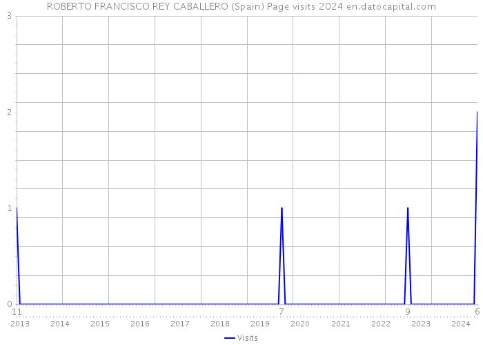 ROBERTO FRANCISCO REY CABALLERO (Spain) Page visits 2024 