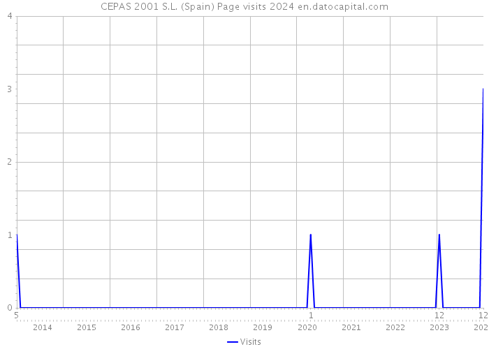 CEPAS 2001 S.L. (Spain) Page visits 2024 