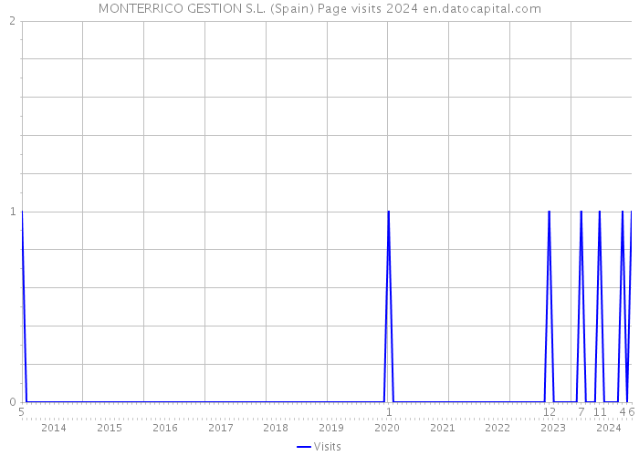 MONTERRICO GESTION S.L. (Spain) Page visits 2024 