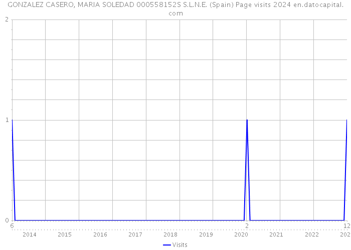 GONZALEZ CASERO, MARIA SOLEDAD 000558152S S.L.N.E. (Spain) Page visits 2024 