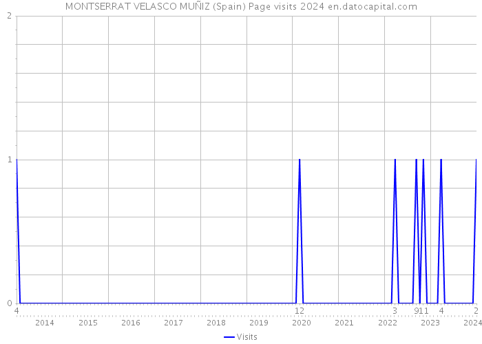 MONTSERRAT VELASCO MUÑIZ (Spain) Page visits 2024 