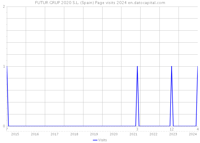 FUTUR GRUP 2020 S.L. (Spain) Page visits 2024 