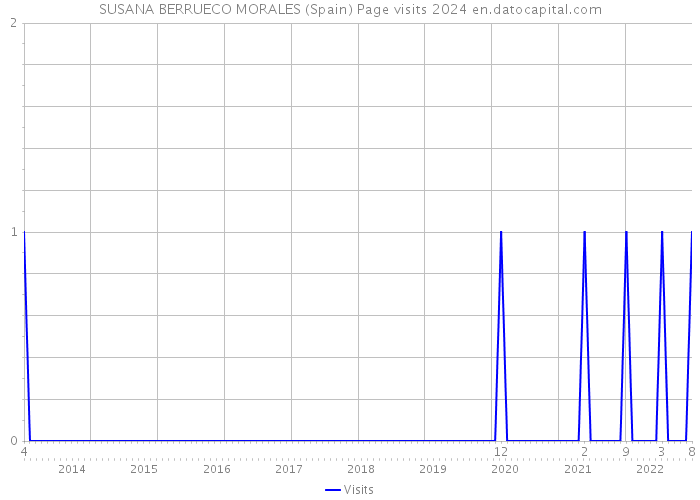 SUSANA BERRUECO MORALES (Spain) Page visits 2024 