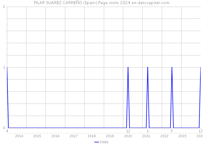 PILAR SUAREZ CARREÑO (Spain) Page visits 2024 