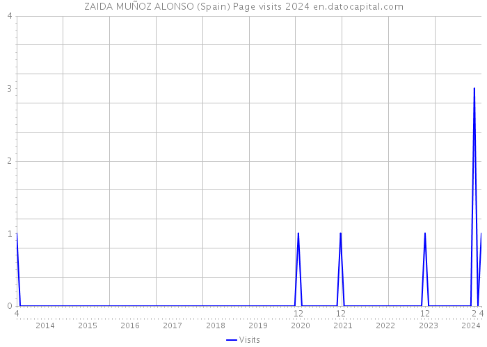 ZAIDA MUÑOZ ALONSO (Spain) Page visits 2024 