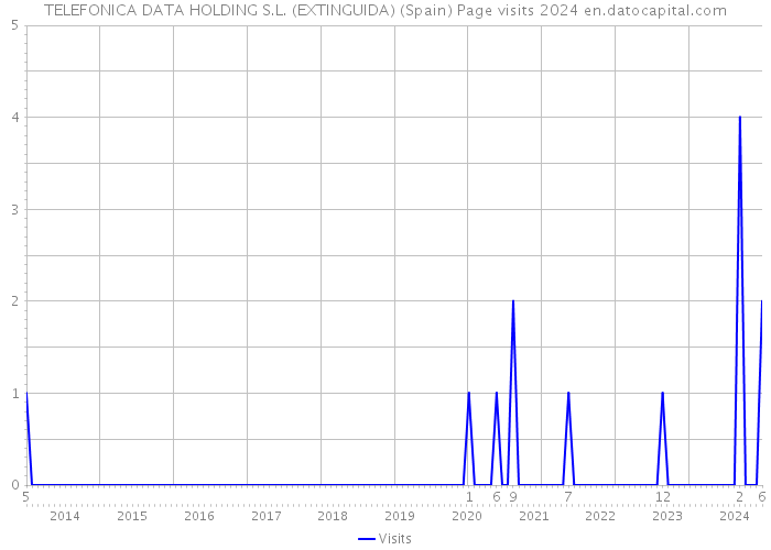 TELEFONICA DATA HOLDING S.L. (EXTINGUIDA) (Spain) Page visits 2024 