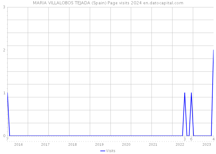 MARIA VILLALOBOS TEJADA (Spain) Page visits 2024 