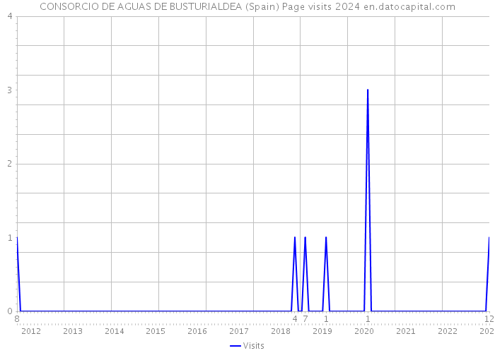 CONSORCIO DE AGUAS DE BUSTURIALDEA (Spain) Page visits 2024 
