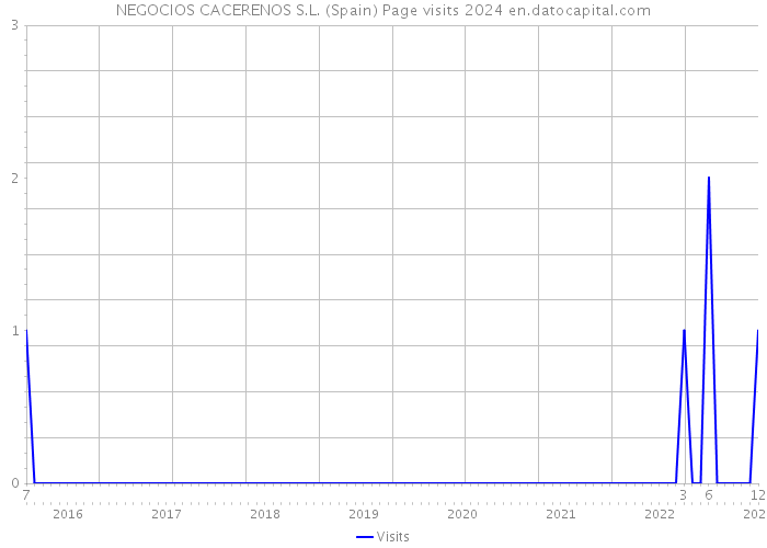 NEGOCIOS CACERENOS S.L. (Spain) Page visits 2024 