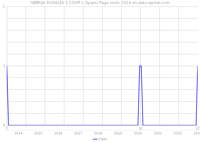 NEBRIJA ROSALES S COOP L (Spain) Page visits 2024 