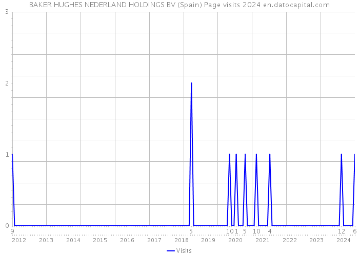 BAKER HUGHES NEDERLAND HOLDINGS BV (Spain) Page visits 2024 
