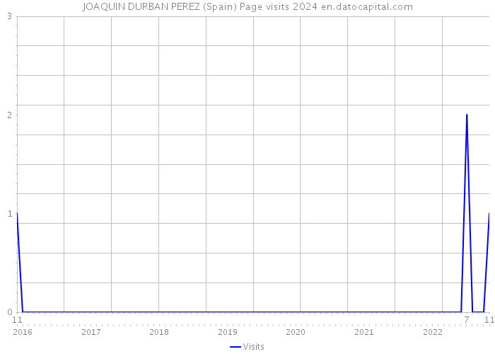 JOAQUIN DURBAN PEREZ (Spain) Page visits 2024 