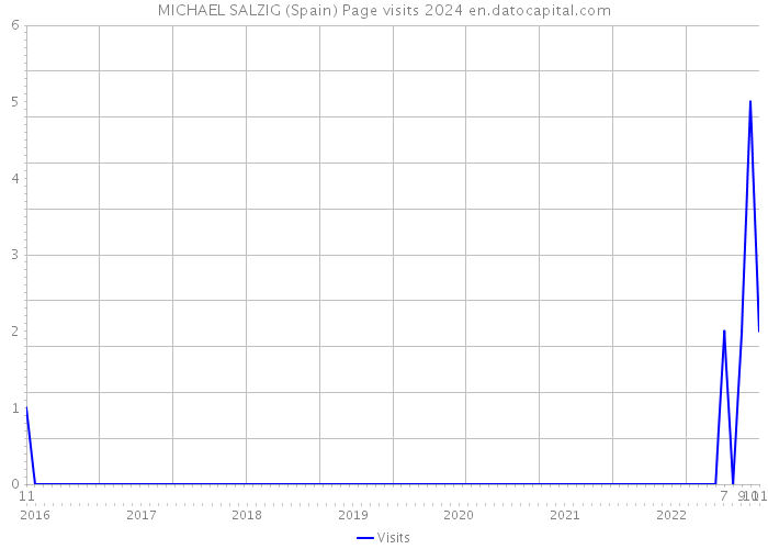 MICHAEL SALZIG (Spain) Page visits 2024 