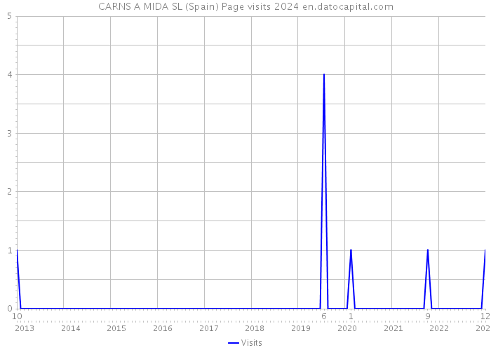 CARNS A MIDA SL (Spain) Page visits 2024 
