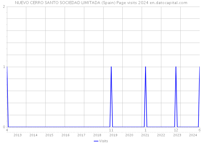 NUEVO CERRO SANTO SOCIEDAD LIMITADA (Spain) Page visits 2024 