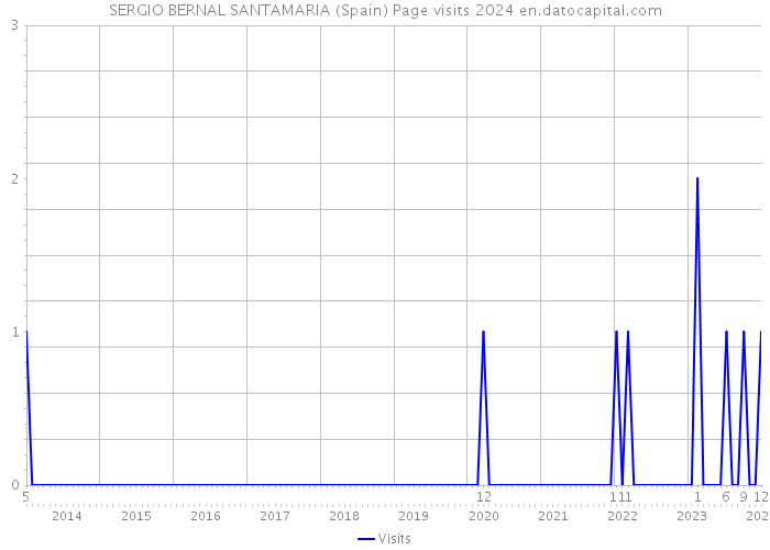 SERGIO BERNAL SANTAMARIA (Spain) Page visits 2024 